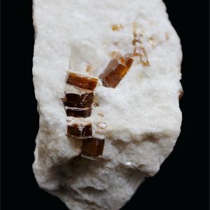 Flogopit_Afganistan_62